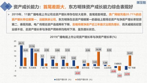 2020廣播電視上市公司年度績效數據報告